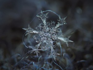 snowflakes_01