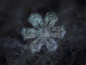snowflakes_03