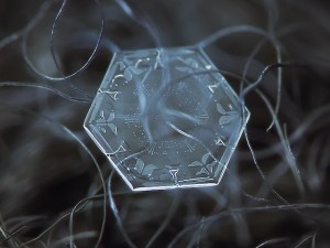 snowflakes_05