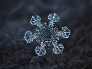 snowflakes_07