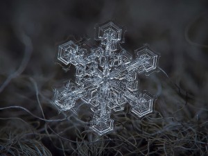 snowflakes_08