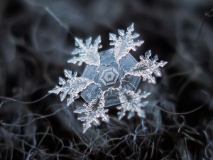 snowflakes_10